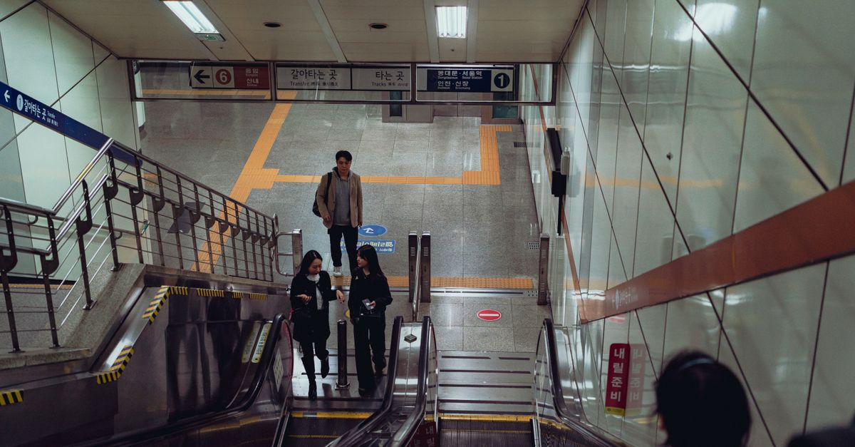 신청 방법